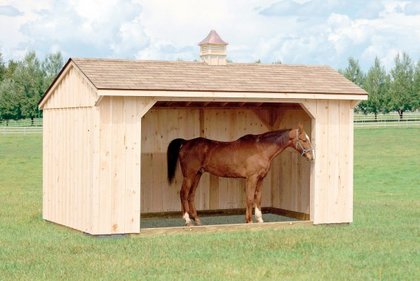 Horse Barns