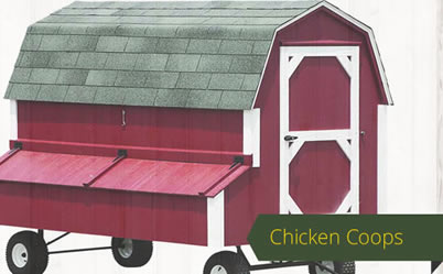 Chicken Coops