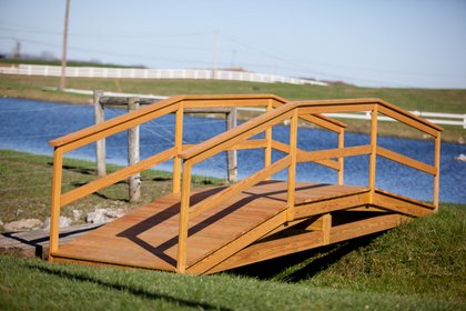 Economy Bridge