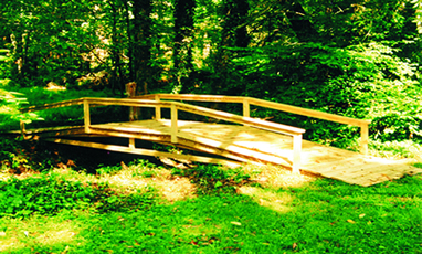 Economy Bridge